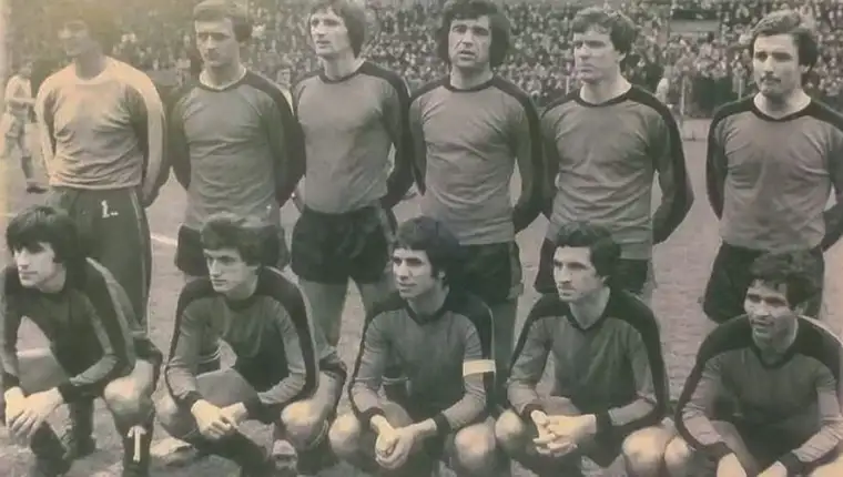 Celik birv