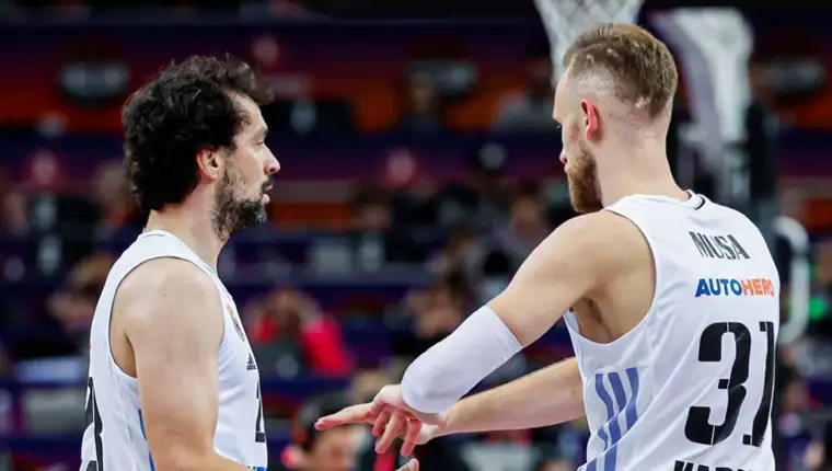Llull musa