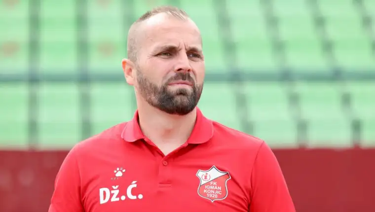 Dzenis cosic