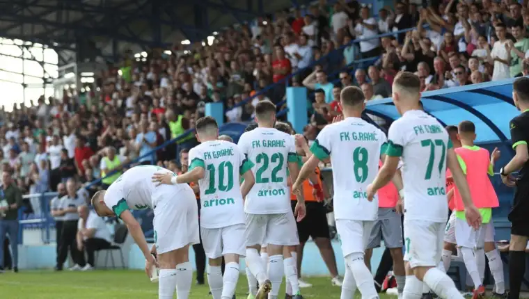 Gornji rahic