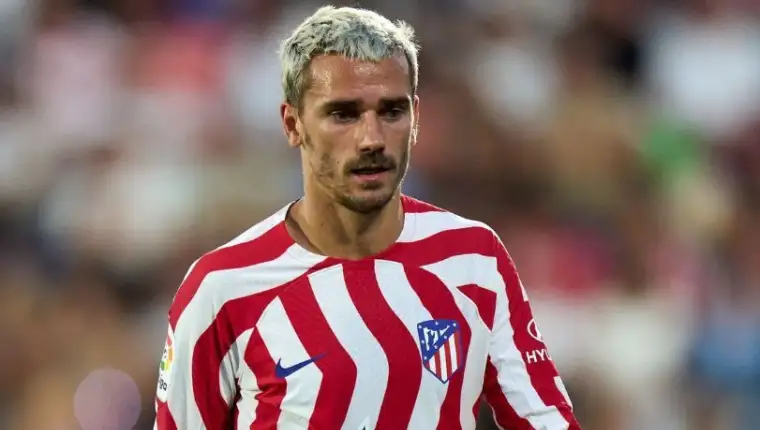 Griza a