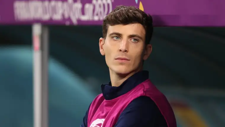 Pau torres