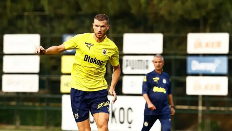 Edin dzeko2