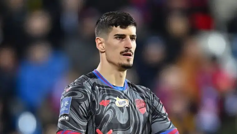 Vladan koca