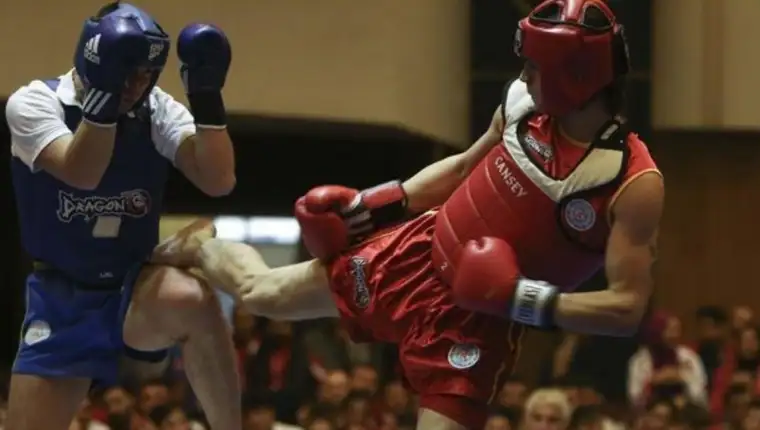 Wushu