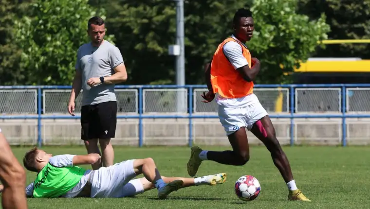 Zeljo trening