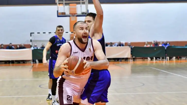 Bosna spars