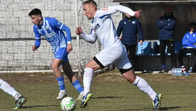 Velez leo