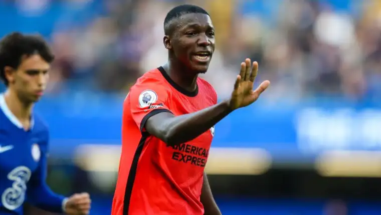 Caicedos