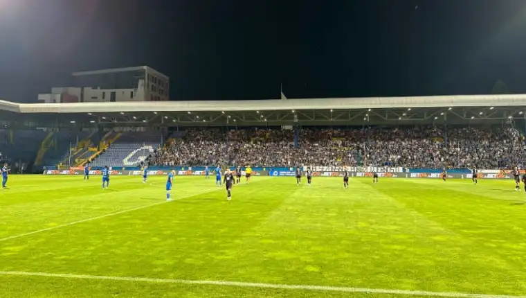 Zelj bora