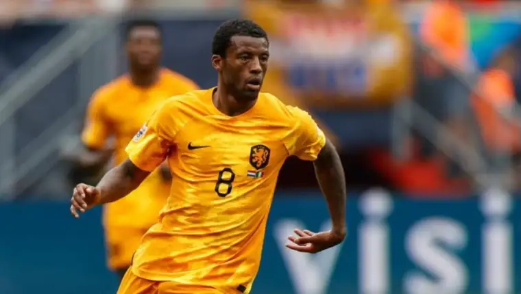 Gini