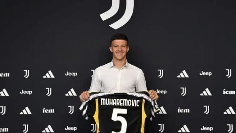 Tarik muhi