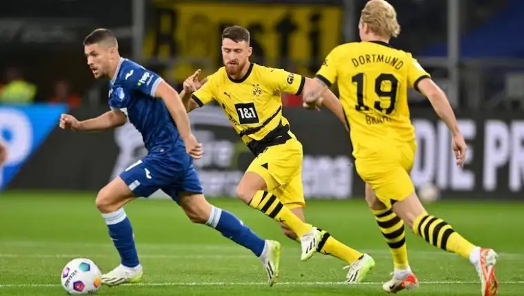 Hoffenheim borussia dortmund