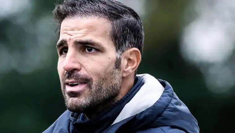Cesc fabregas 3