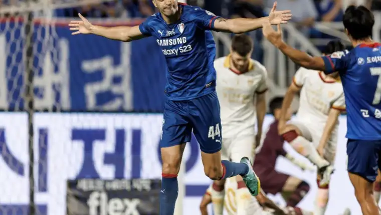 Fejsal mulic