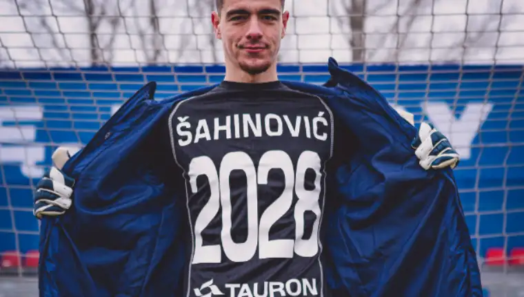 Sahinovic