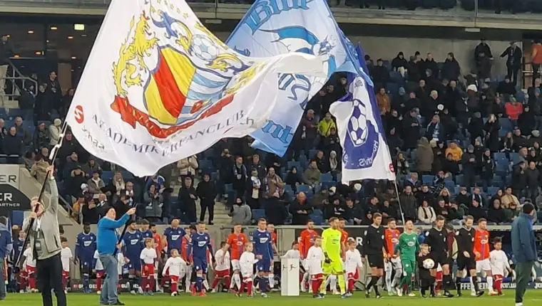 Hoffenheim darmstadt