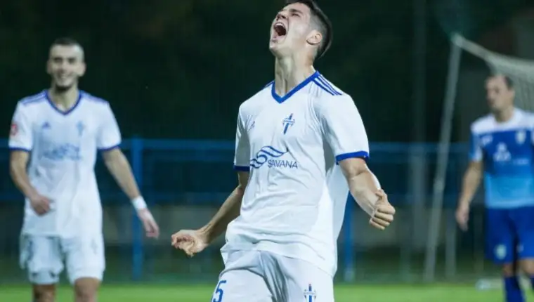 Vasilije Adzic