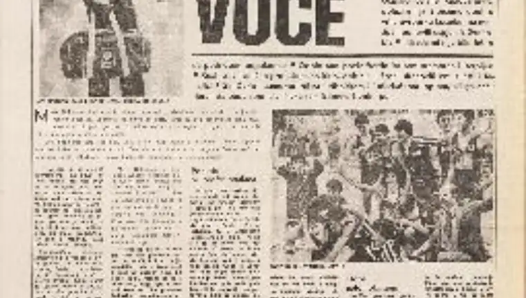 Novine