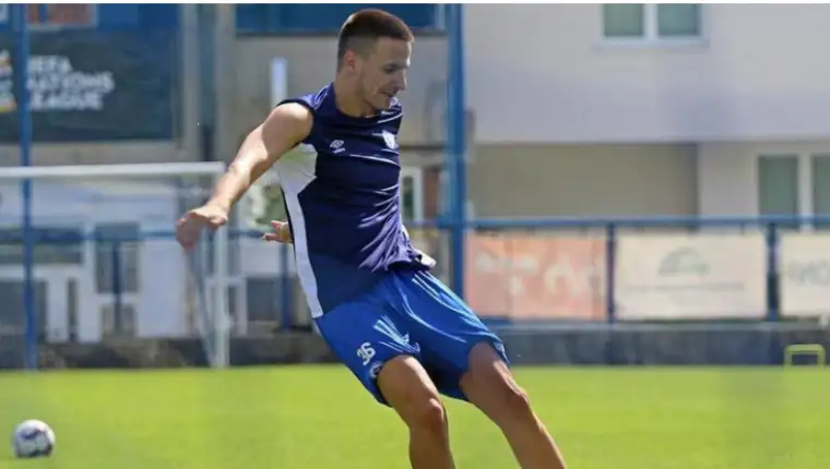 Milicevic