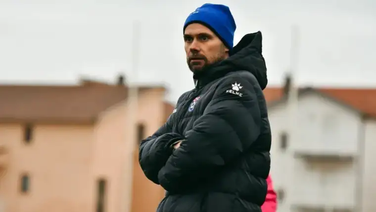 Dino skendera