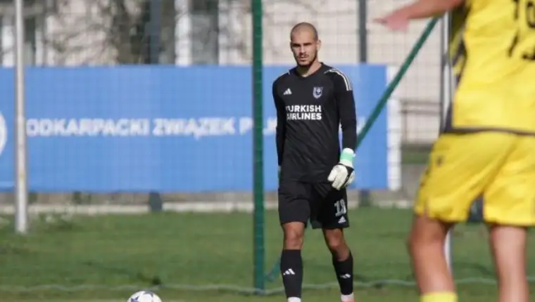 Arman sutkovic