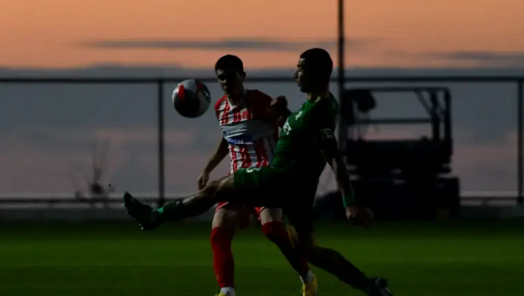 FK Crvena zvezda