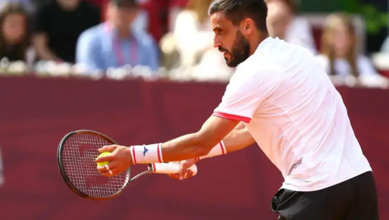 Damir Dzumhur 1