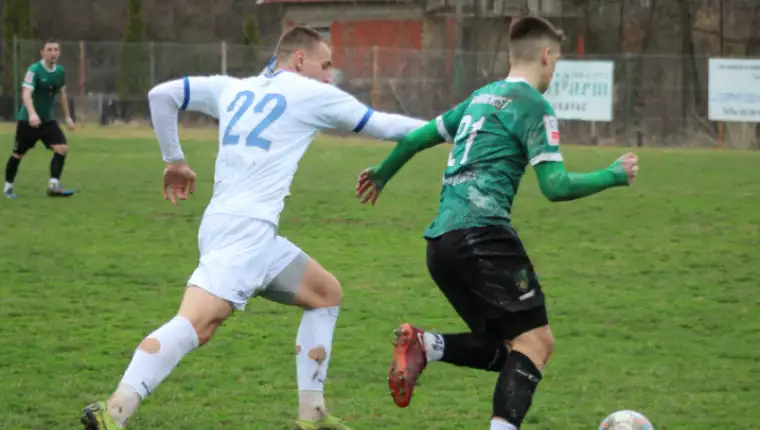 Buducnost Radnik