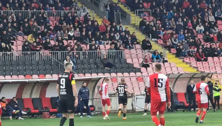 Celik mladost
