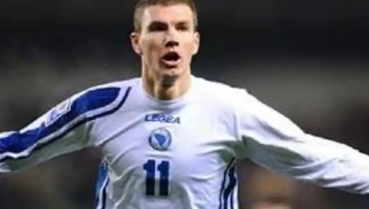 Dzeko fena