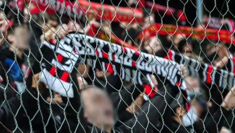 Robijasi zenica