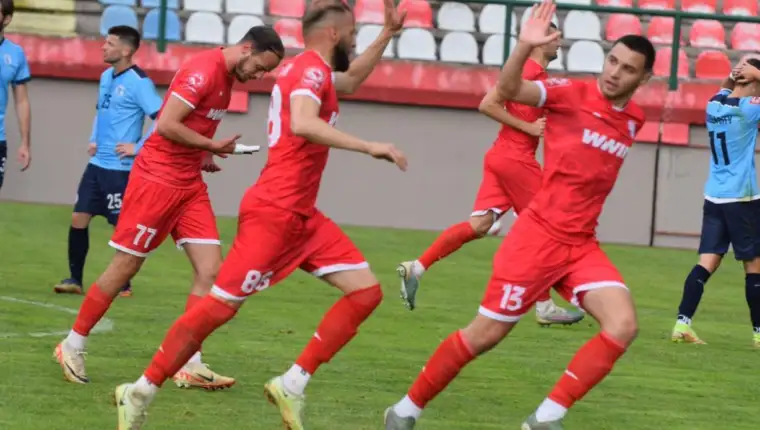 Zvi sada