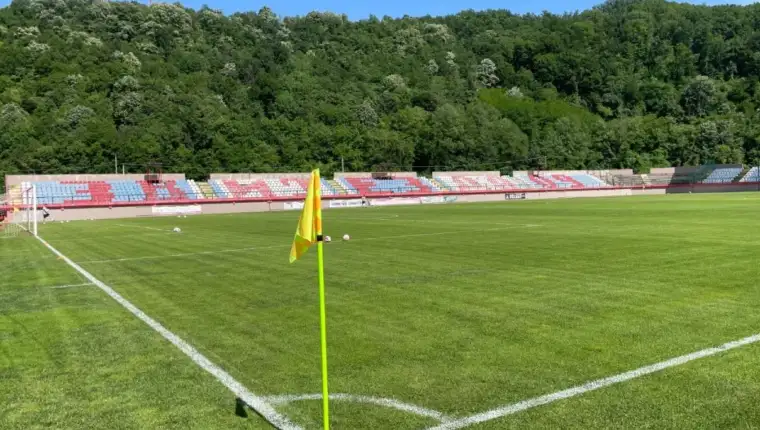 Zelji stadas