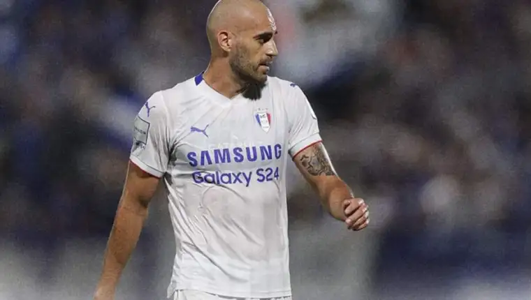 Fejsal mulic