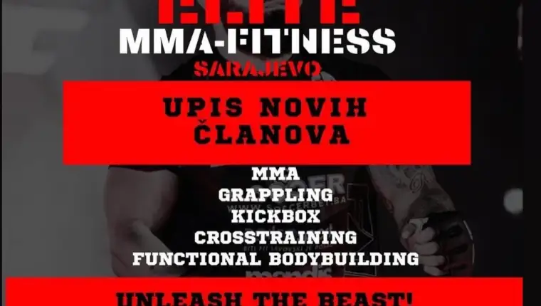 Mma 1
