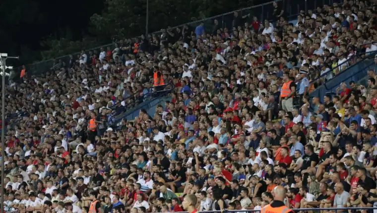 Borac navijaci