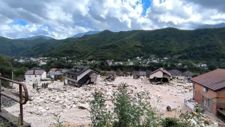 Vico zeljkoovc