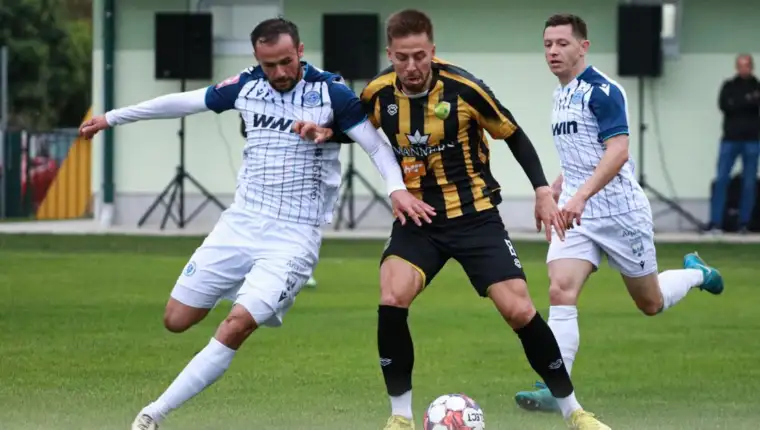 Zeljeznicar stupcanica marin galic