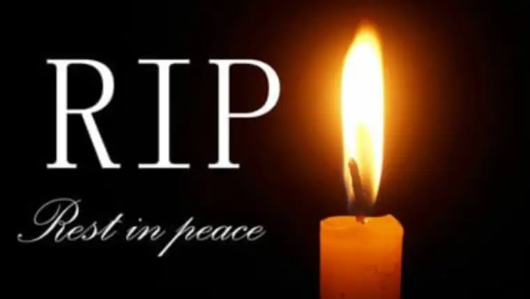 Rip
