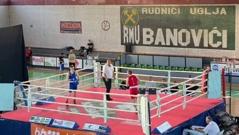 Bokseri
