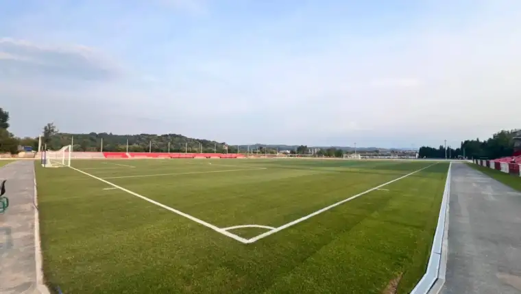 Stadion luke
