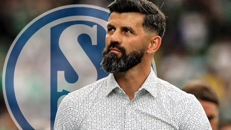 Miron muslic schalke 04
