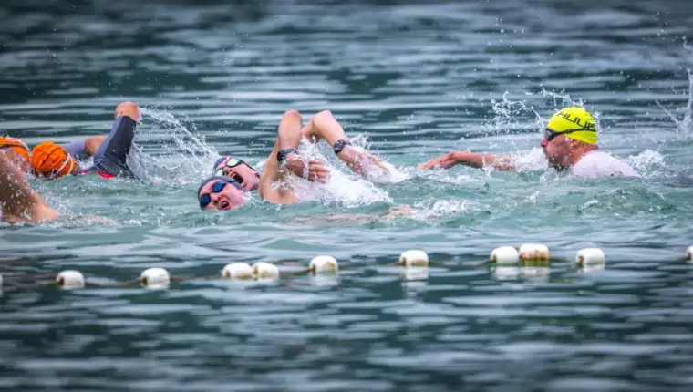 Triatlon klub fenix