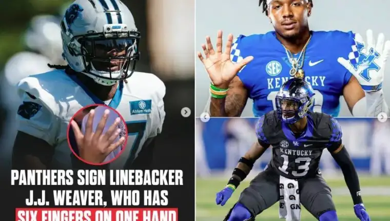 Jj weaver carolina panthers