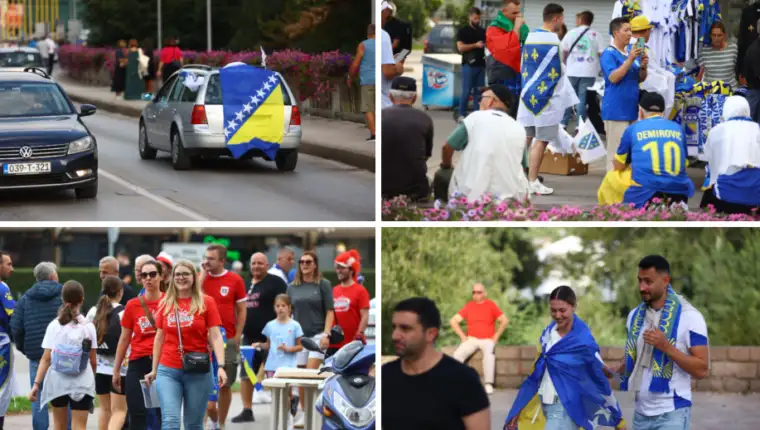 Foto zenbica 1