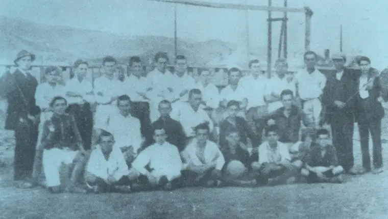 Zeljo10