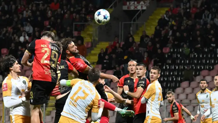 Celik 2