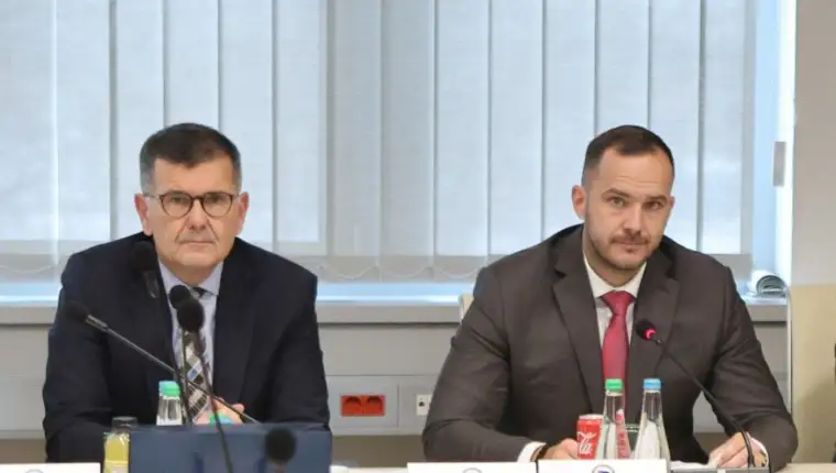 Dzemidzic vico zeljkovic